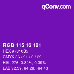 Color code: RGB 115 16 181 | qconv.com