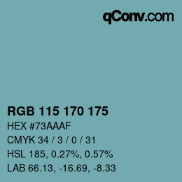 Color code: RGB 115 170 175 | qconv.com