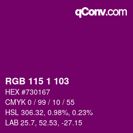 Color code: RGB 115 1 103 | qconv.com