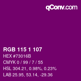 Color code: RGB 115 1 107 | qconv.com