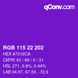 Color code: RGB 115 22 202 | qconv.com