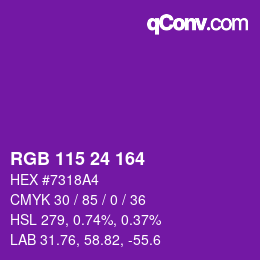 Color code: RGB 115 24 164 | qconv.com