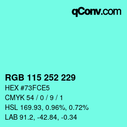 Color code: RGB 115 252 229 | qconv.com