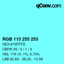 Color code: RGB 115 255 253 | qconv.com