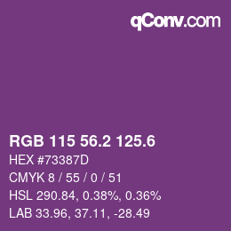 カラーコード: RGB 115 56.2 125.6 | qconv.com