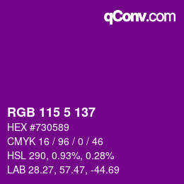 Color code: RGB 115 5 137 | qconv.com