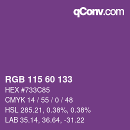 Color code: RGB 115 60 133 | qconv.com