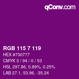 Color code: RGB 115 7 119 | qconv.com