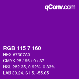 カラーコード: RGB 115 7 160 | qconv.com