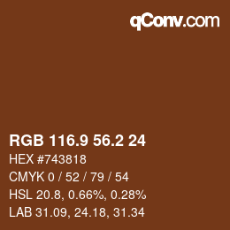 Color code: RGB 116.9 56.2 24 | qconv.com