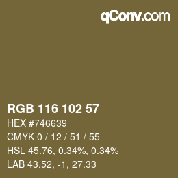 Color code: RGB 116 102 57 | qconv.com