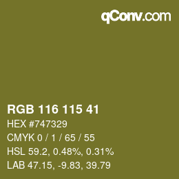 颜色代码: RGB 116 115 41 | qconv.com