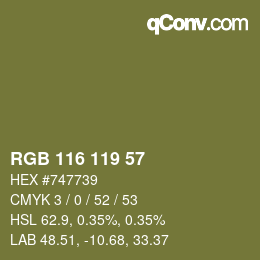カラーコード: RGB 116 119 57 | qconv.com