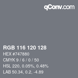 カラーコード: RGB 116 120 128 | qconv.com