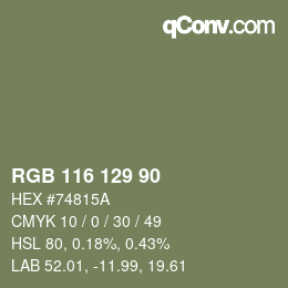 Farbcode: RGB 116 129 90 | qconv.com