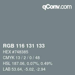 颜色代码: RGB 116 131 133 | qconv.com