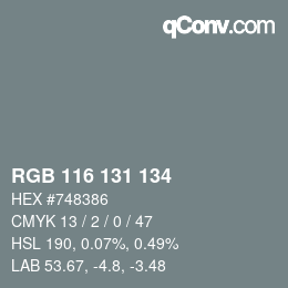 颜色代码: RGB 116 131 134 | qconv.com