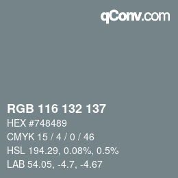カラーコード: RGB 116 132 137 | qconv.com