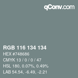 Color code: RGB 116 134 134 | qconv.com