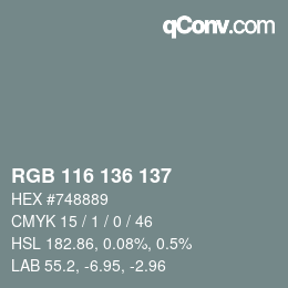 Farbcode: RGB 116 136 137 | qconv.com