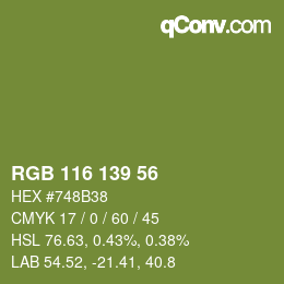 Color code: RGB 116 139 56 | qconv.com