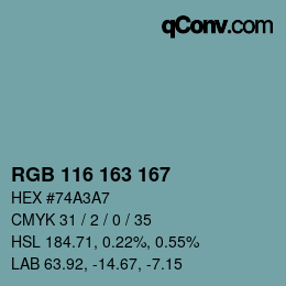 Color code: RGB 116 163 167 | qconv.com