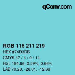 Color code: RGB 116 211 219 | qconv.com