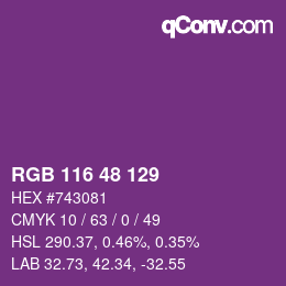 Color code: RGB 116 48 129 | qconv.com