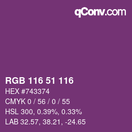 Color code: RGB 116 51 116 | qconv.com