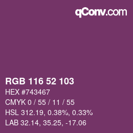 Color code: RGB 116 52 103 | qconv.com