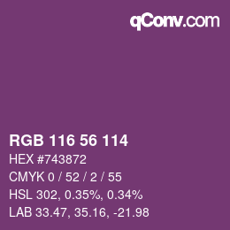 Color code: RGB 116 56 114 | qconv.com