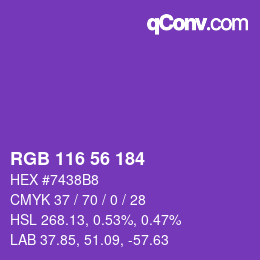 Color code: RGB 116 56 184 | qconv.com