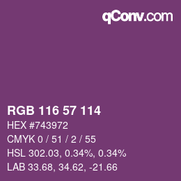 Código de color: RGB 116 57 114 | qconv.com