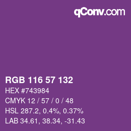 Color code: RGB 116 57 132 | qconv.com