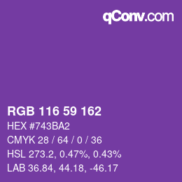 Color code: RGB 116 59 162 | qconv.com