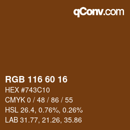 颜色代码: RGB 116 60 16 | qconv.com