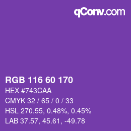 Color code: RGB 116 60 170 | qconv.com