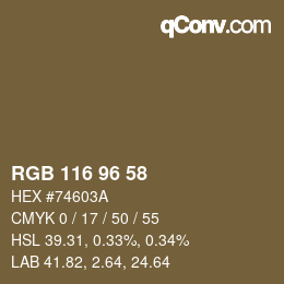 Farbcode: RGB 116 96 58 | qconv.com