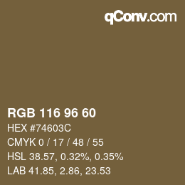 Color code: RGB 116 96 60 | qconv.com