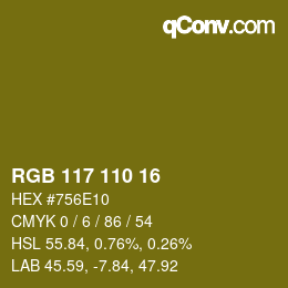 颜色代码: RGB 117 110 16 | qconv.com