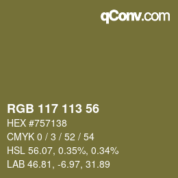 Farbcode: RGB 117 113 56 | qconv.com