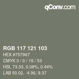 Color code: RGB 117 121 103 | qconv.com