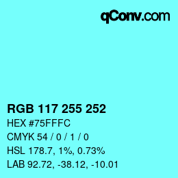 Color code: RGB 117 255 252 | qconv.com