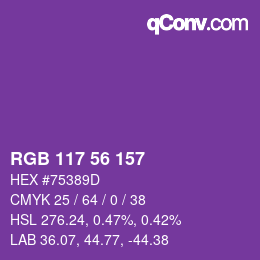 Color code: RGB 117 56 157 | qconv.com