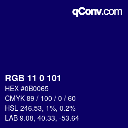 Color code: RGB 11 0 101 | qconv.com