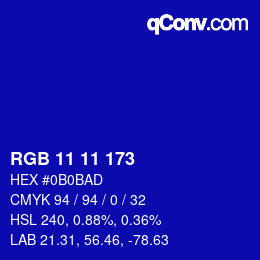 Color code: RGB 11 11 173 | qconv.com
