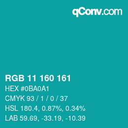Color code: RGB 11 160 161 | qconv.com