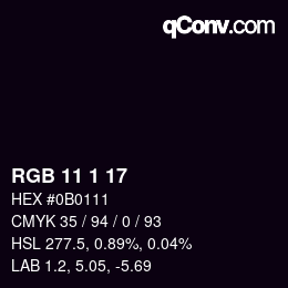 カラーコード: RGB 11 1 17 | qconv.com