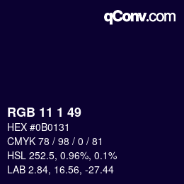 カラーコード: RGB 11 1 49 | qconv.com