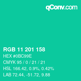 Color code: RGB 11 201 158 | qconv.com